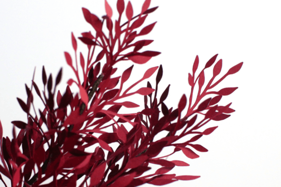 Leaves Foliage 3D SVG for Paper Flowers Branding